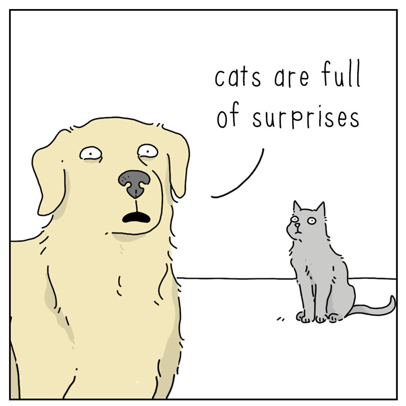 https://cdn.tinyview.com/they-can-talk/2026/04/29/surprises/cat_surprises1.jpg