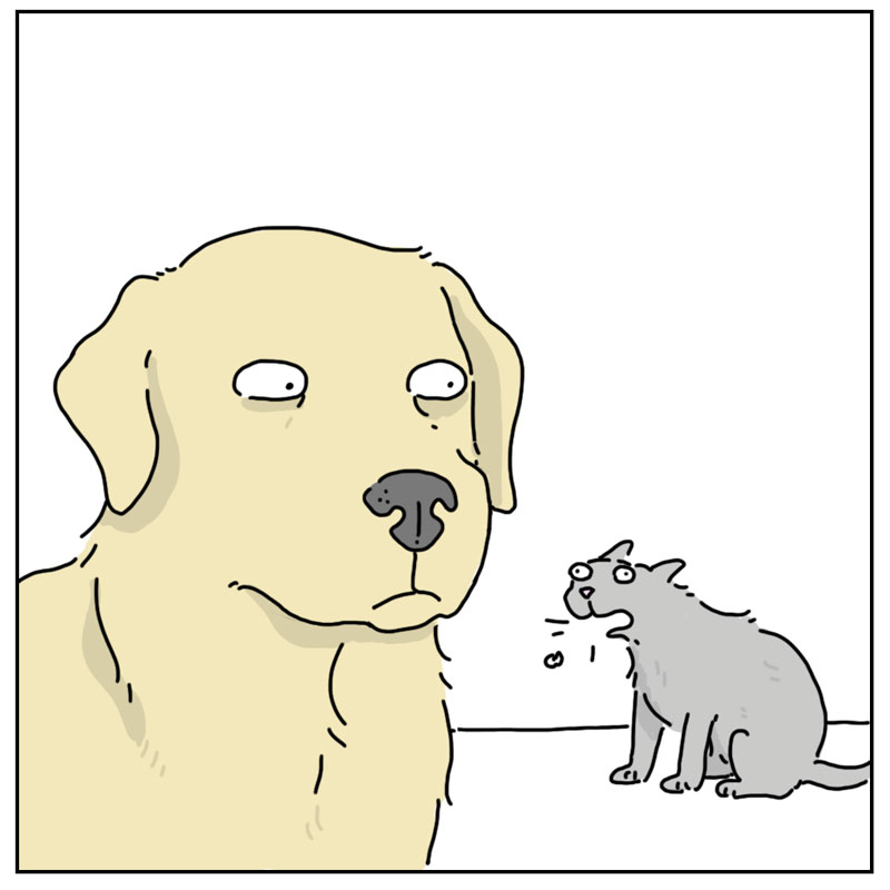 https://cdn.tinyview.com/they-can-talk/2026/04/29/surprises/cat_surprises2.jpg