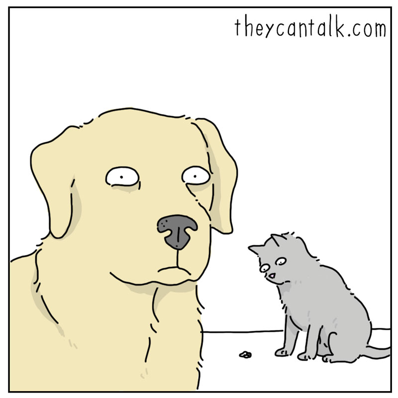 https://cdn.tinyview.com/they-can-talk/2026/04/29/surprises/cat_surprises3.jpg