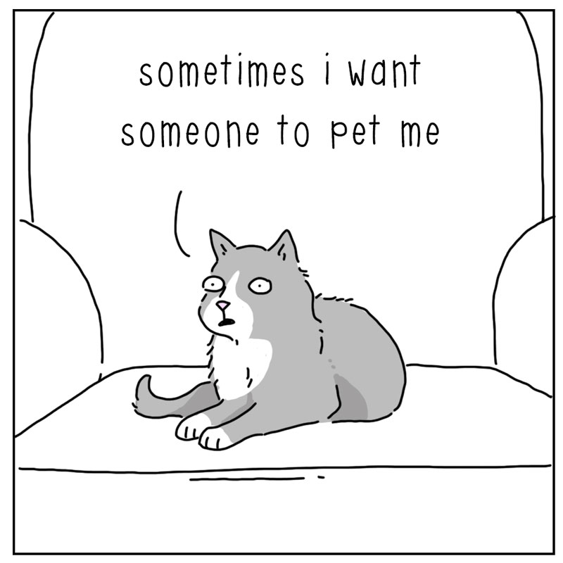 https://cdn.tinyview.com/they-can-talk/2026/05/10/want/cat_want1.jpg