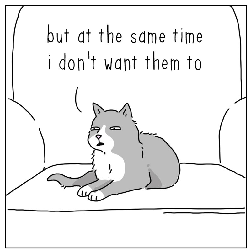 https://cdn.tinyview.com/they-can-talk/2026/05/10/want/cat_want2.jpg