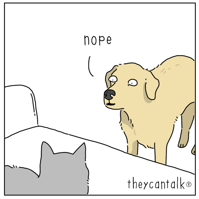 https://cdn.tinyview.com/they-can-talk/2026/05/10/want/cat_want4.jpg