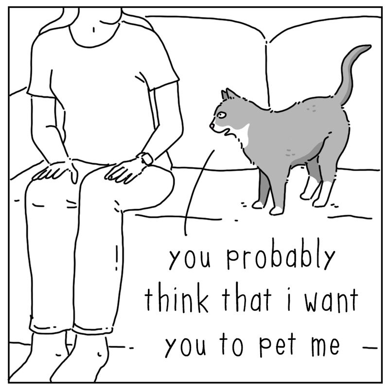 https://cdn.tinyview.com/they-can-talk/2026/05/13/logic/cat_logic1.jpg