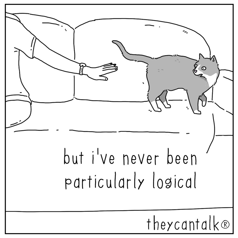 https://cdn.tinyview.com/they-can-talk/2026/05/13/logic/cat_logic3.jpg