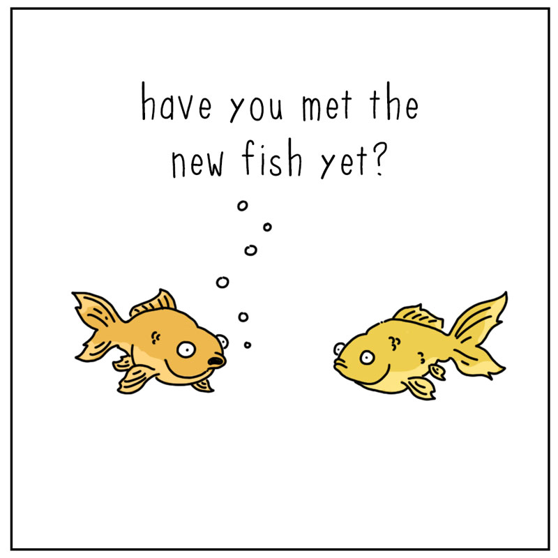 https://cdn.tinyview.com/they-can-talk/2026/05/16/know-it-all/fish_knoweverything1.jpg