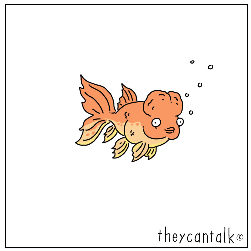 https://cdn.tinyview.com/they-can-talk/2026/05/16/know-it-all/fish_knoweverything4.jpg