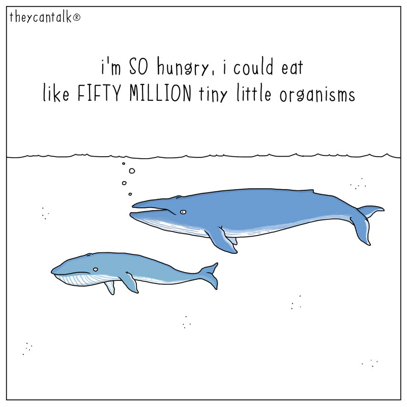 https://cdn.tinyview.com/they-can-talk/2026/05/21/starving/whale_starving.jpg
