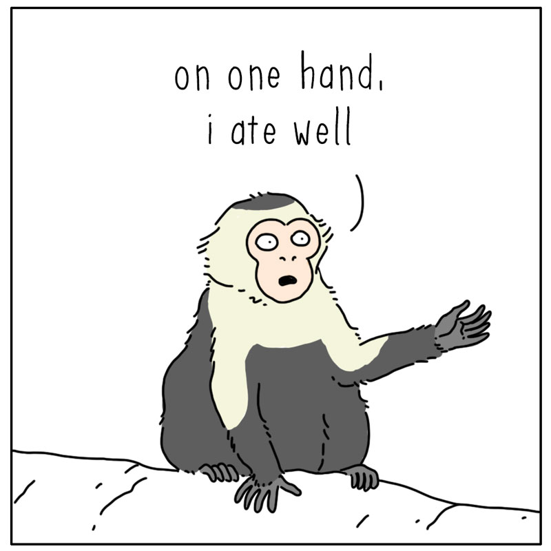 https://cdn.tinyview.com/they-can-talk/2026/05/23/bugs/monkey_grooming2.jpg