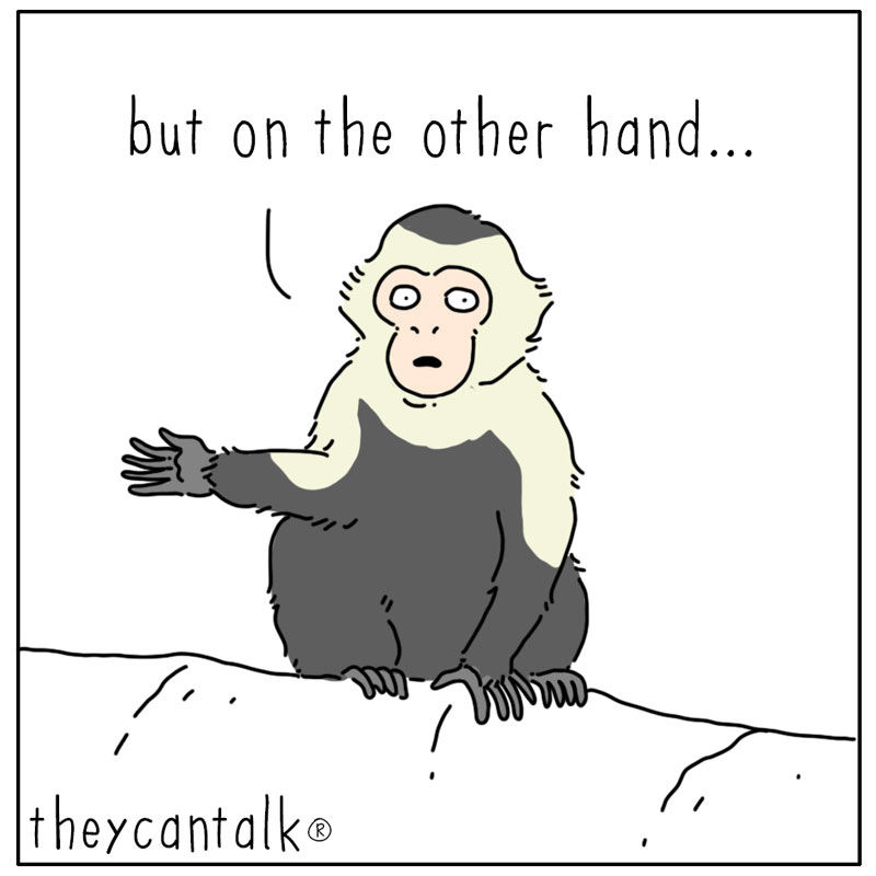 https://cdn.tinyview.com/they-can-talk/2026/05/23/bugs/monkey_grooming3.jpg
