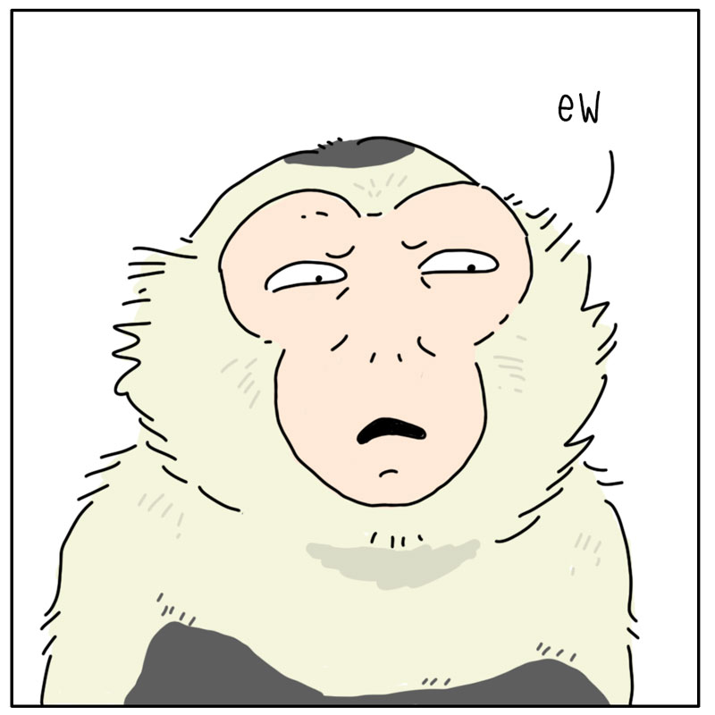 https://cdn.tinyview.com/they-can-talk/2026/05/23/bugs/monkey_grooming4.jpg