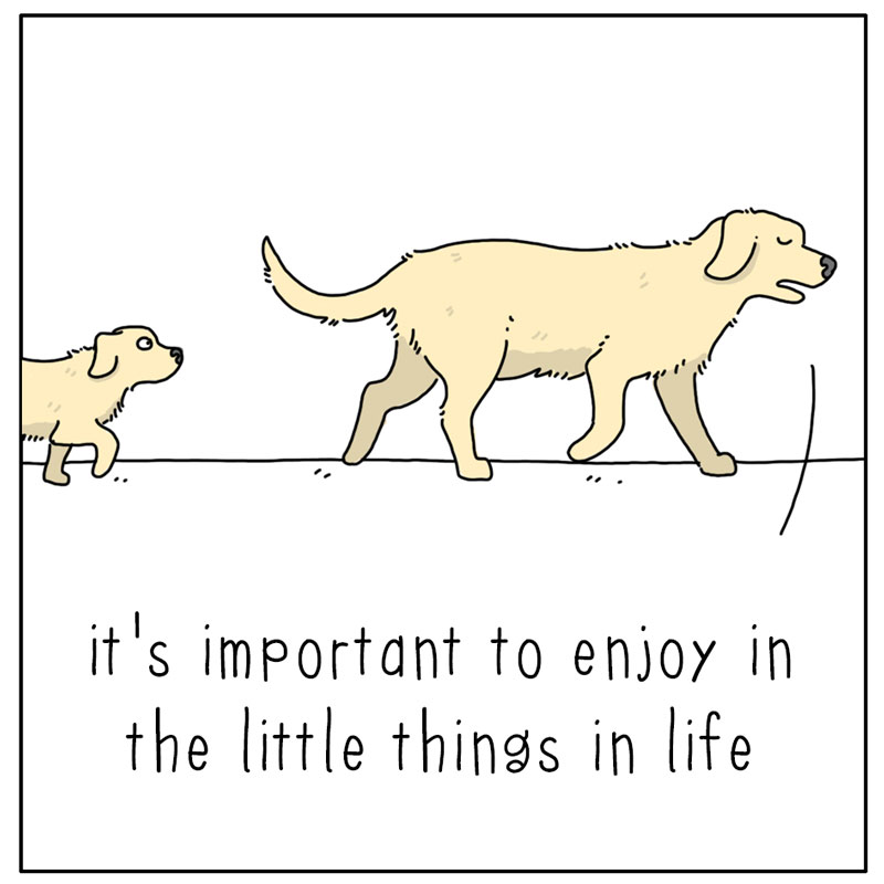 https://cdn.tinyview.com/they-can-talk/2026/05/27/little-things/dog_littlethings1.jpg