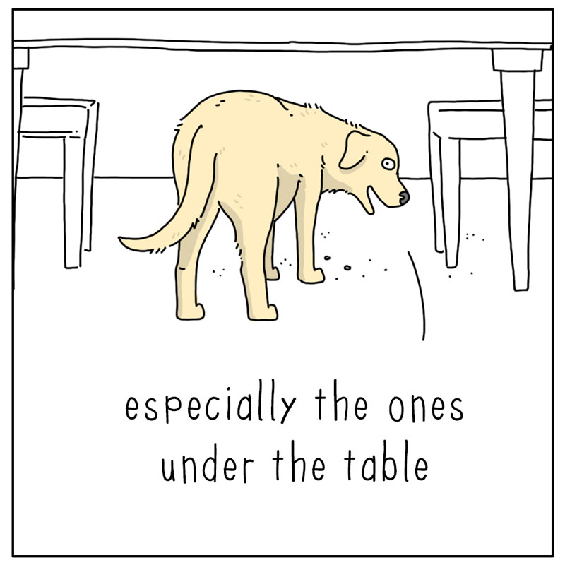 https://cdn.tinyview.com/they-can-talk/2026/05/27/little-things/dog_littlethings2.jpg