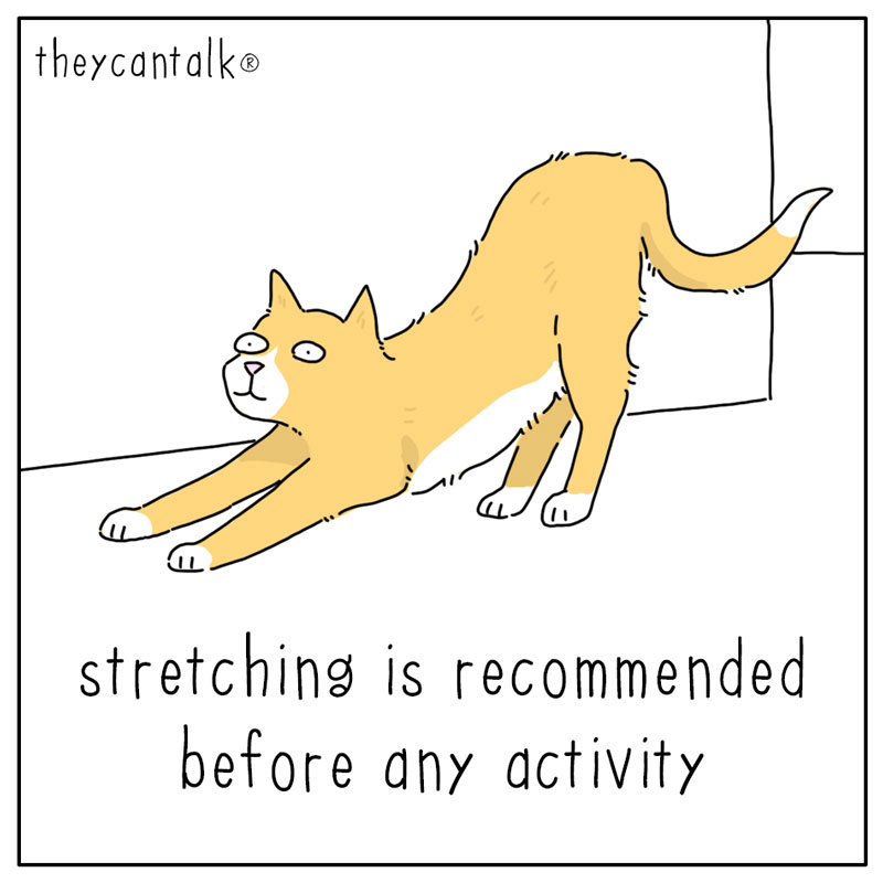 https://cdn.tinyview.com/they-can-talk/2026/05/31/stretching/cat_stretch1.jpg