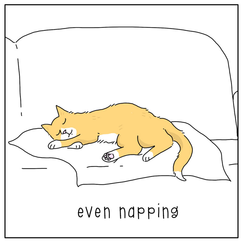 https://cdn.tinyview.com/they-can-talk/2026/05/31/stretching/cat_stretch2.jpg