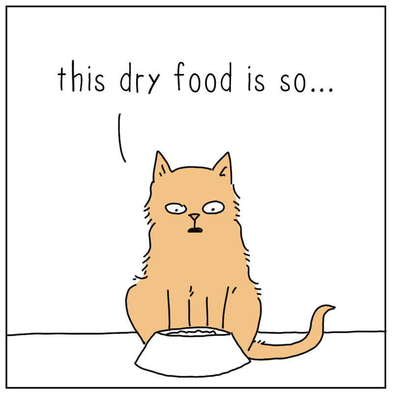 https://cdn.tinyview.com/they-can-talk/2026/06/03/dry-food/1.jpg
