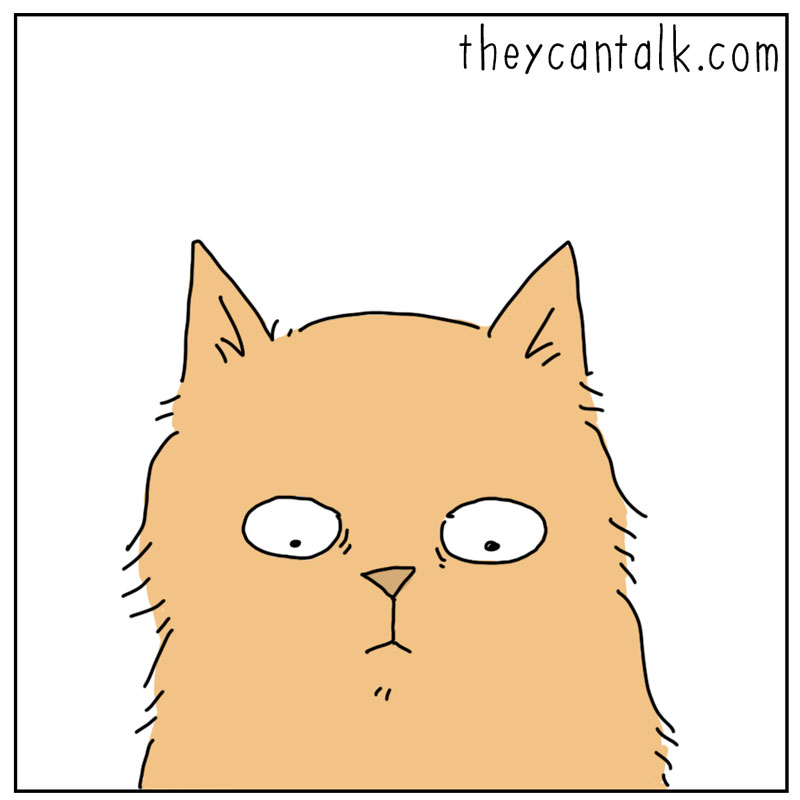 https://cdn.tinyview.com/they-can-talk/2026/06/03/dry-food/2.jpg