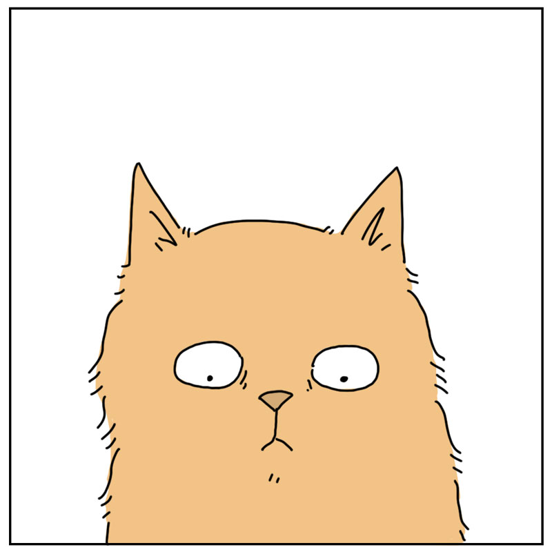 https://cdn.tinyview.com/they-can-talk/2026/06/03/dry-food/3.jpg