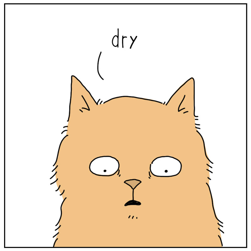 https://cdn.tinyview.com/they-can-talk/2026/06/03/dry-food/4.jpg