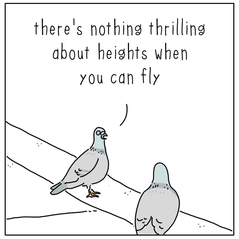 https://cdn.tinyview.com/they-can-talk/2026/06/06/thrilling/pigeon_traffic1.jpg