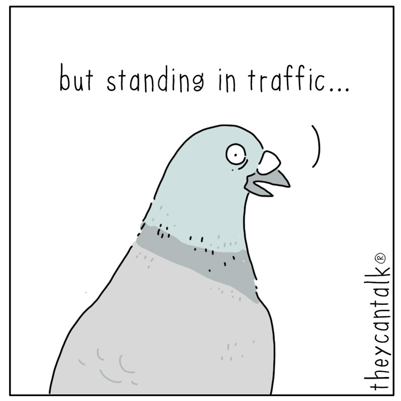 https://cdn.tinyview.com/they-can-talk/2026/06/06/thrilling/pigeon_traffic2.jpg