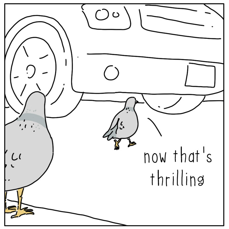 https://cdn.tinyview.com/they-can-talk/2026/06/06/thrilling/pigeon_traffic3.jpg