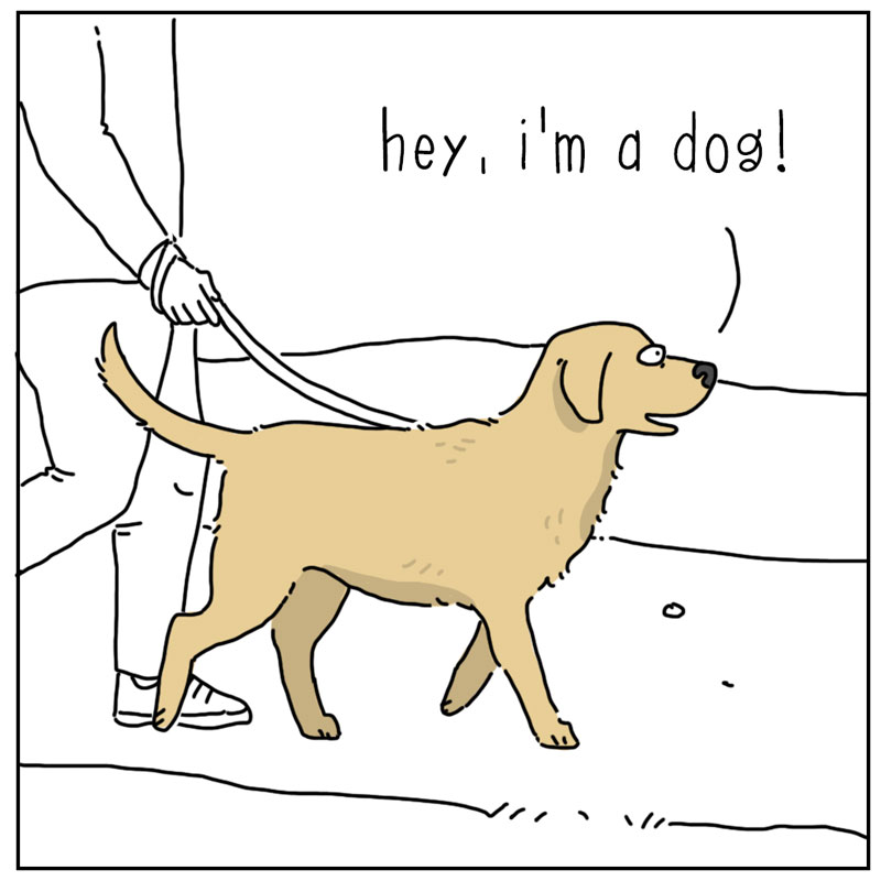 https://cdn.tinyview.com/they-can-talk/2026/06/10/friends/dog_friends1.jpg
