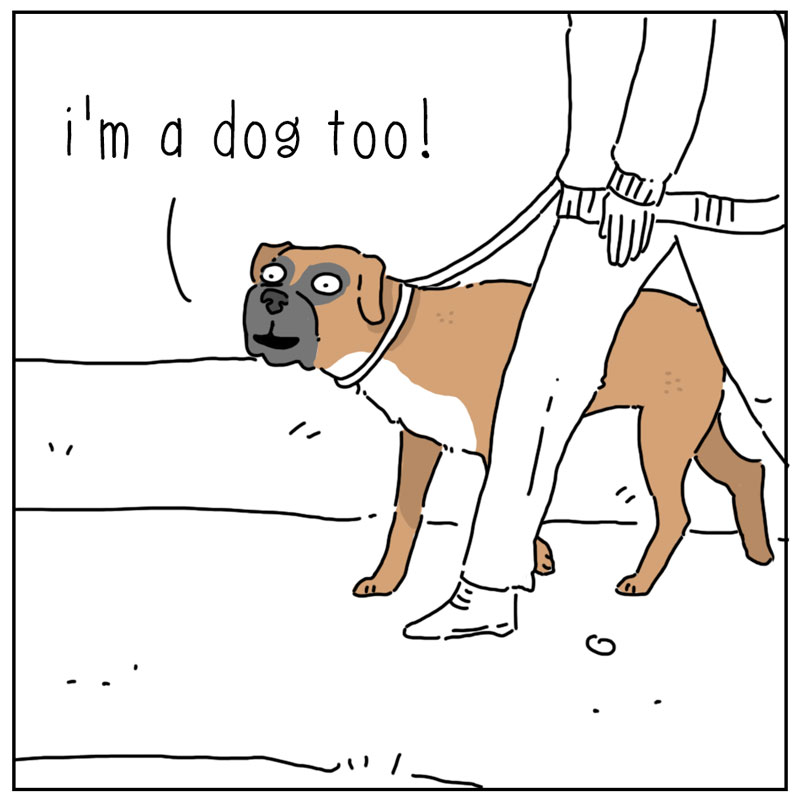 https://cdn.tinyview.com/they-can-talk/2026/06/10/friends/dog_friends2.jpg