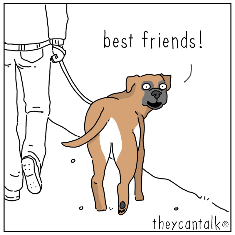 https://cdn.tinyview.com/they-can-talk/2026/06/10/friends/dog_friends4.jpg