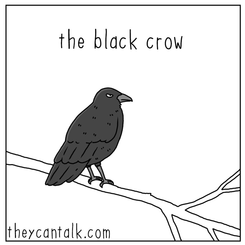 https://cdn.tinyview.com/they-can-talk/2026/06/17/the-crow/crow_butterfly1.jpg