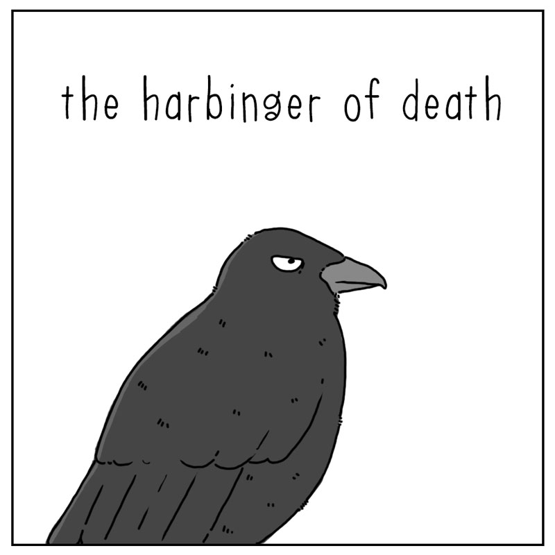 https://cdn.tinyview.com/they-can-talk/2026/06/17/the-crow/crow_butterfly3.jpg