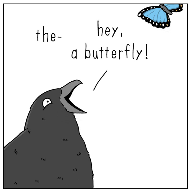 https://cdn.tinyview.com/they-can-talk/2026/06/17/the-crow/crow_butterfly4.jpg