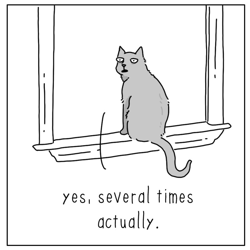 https://cdn.tinyview.com/they-can-talk/2026/06/21/conversation/dog_conversation2.jpg
