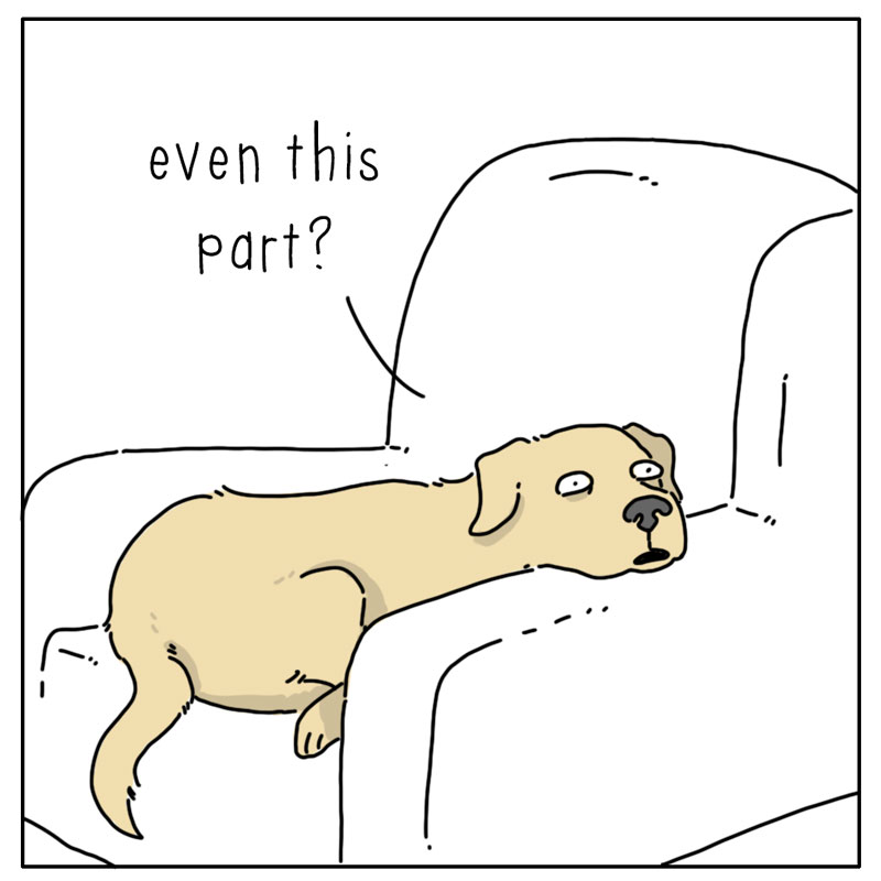https://cdn.tinyview.com/they-can-talk/2026/06/21/conversation/dog_conversation3.jpg