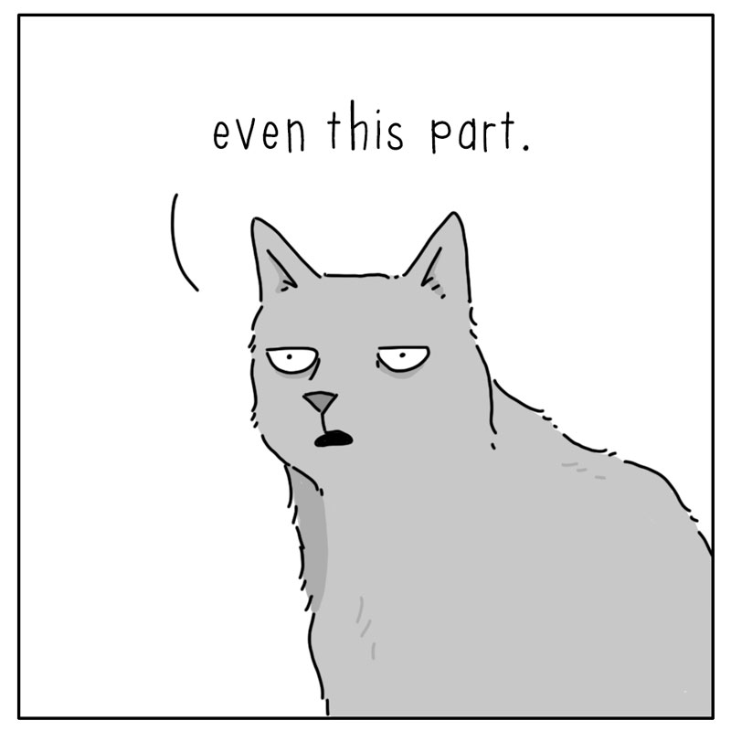 https://cdn.tinyview.com/they-can-talk/2026/06/21/conversation/dog_conversation4.jpg