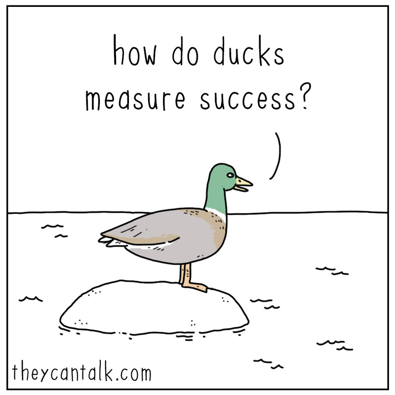 https://cdn.tinyview.com/they-can-talk/2026/06/25/success/duck_success1.jpg