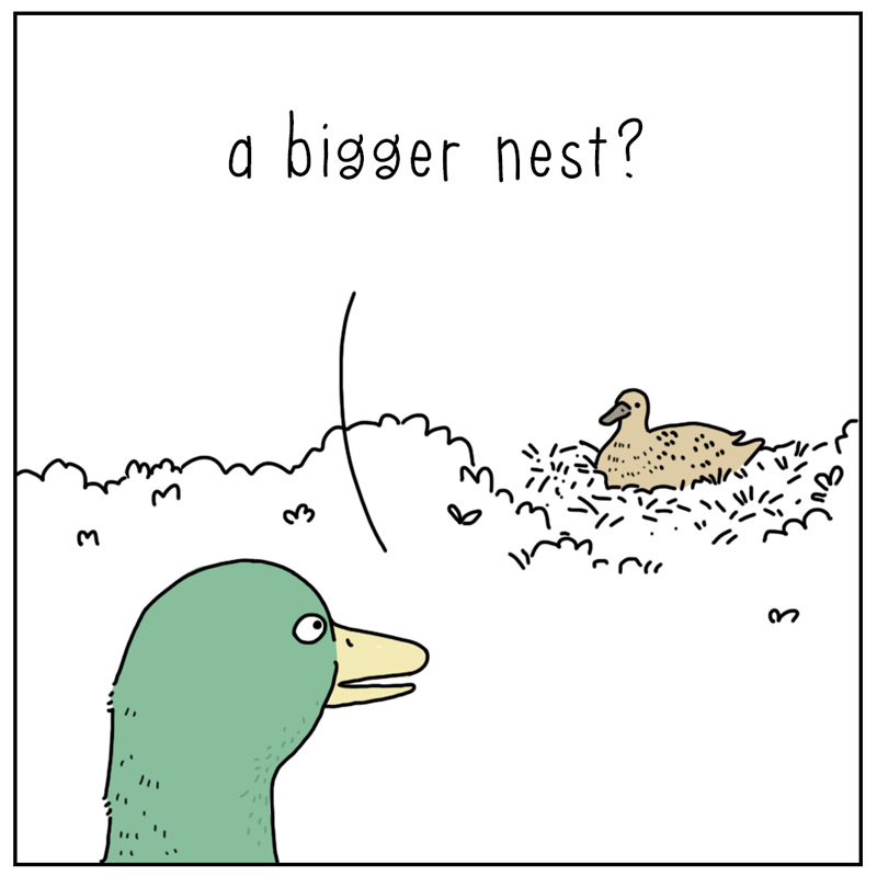 https://cdn.tinyview.com/they-can-talk/2026/06/25/success/duck_success2.jpg