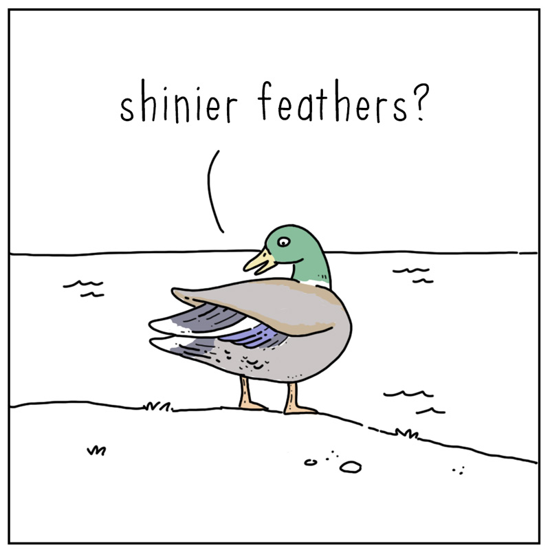 https://cdn.tinyview.com/they-can-talk/2026/06/25/success/duck_success3.jpg