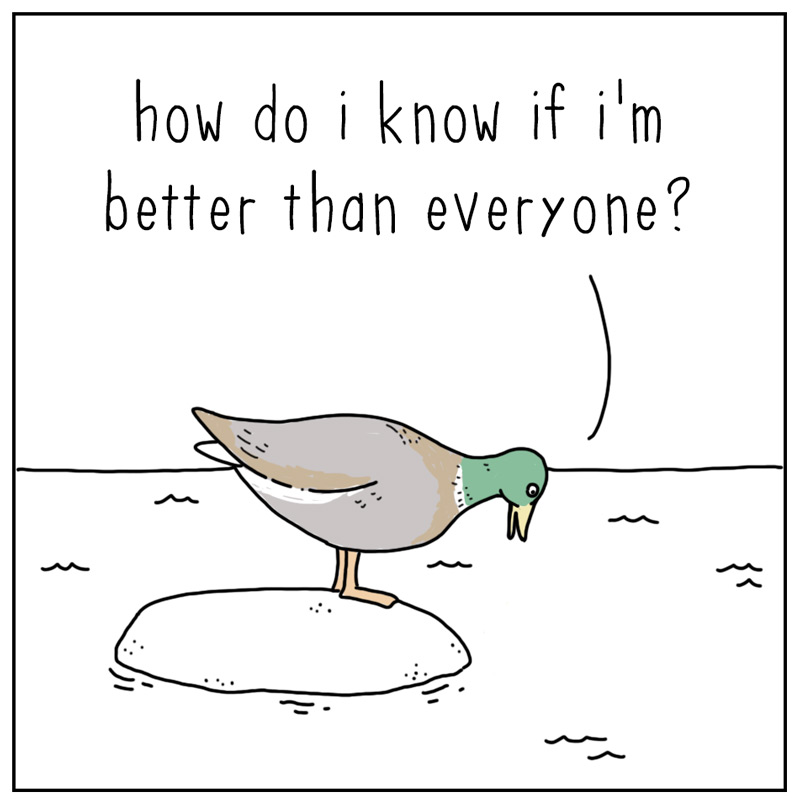https://cdn.tinyview.com/they-can-talk/2026/06/25/success/duck_success4.jpg
