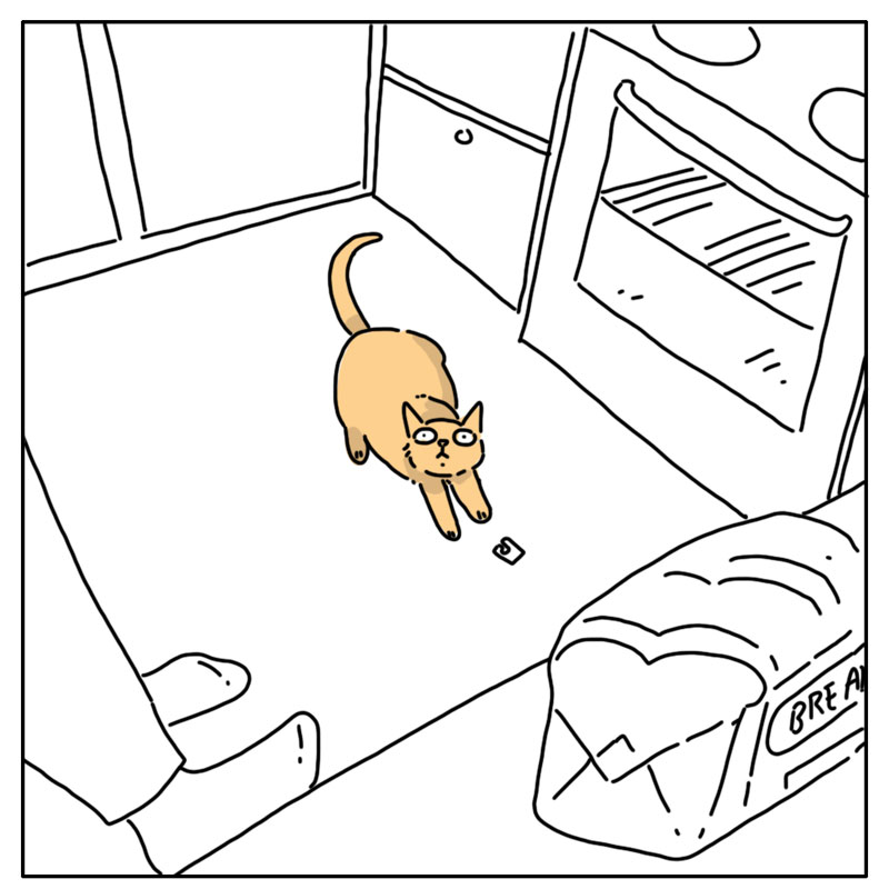 https://cdn.tinyview.com/they-can-talk/2026/06/27/disappear/cat_breadclip2.jpg