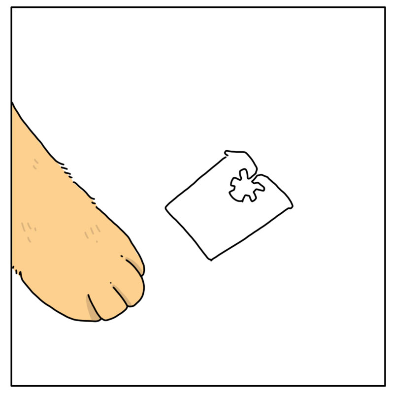 https://cdn.tinyview.com/they-can-talk/2026/06/27/disappear/cat_breadclip3.jpg