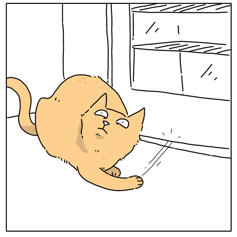 https://cdn.tinyview.com/they-can-talk/2026/06/27/disappear/cat_breadclip4.jpg