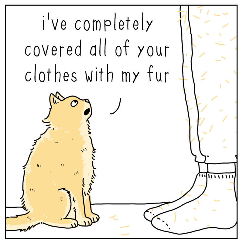 https://cdn.tinyview.com/they-can-talk/2026/07/01/fur/cat_fur1.jpg