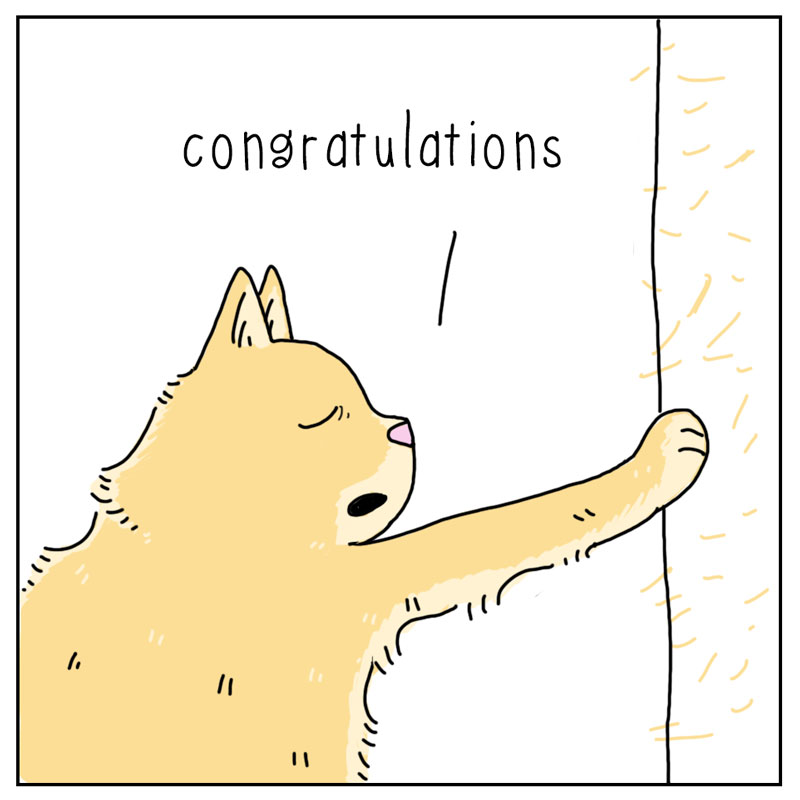 https://cdn.tinyview.com/they-can-talk/2026/07/01/fur/cat_fur2.jpg