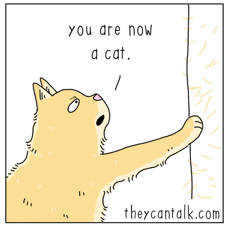 https://cdn.tinyview.com/they-can-talk/2026/07/01/fur/cat_fur3.jpg