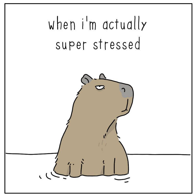 https://cdn.tinyview.com/they-can-talk/2026/07/04/chill/capybara_chill2.jpg