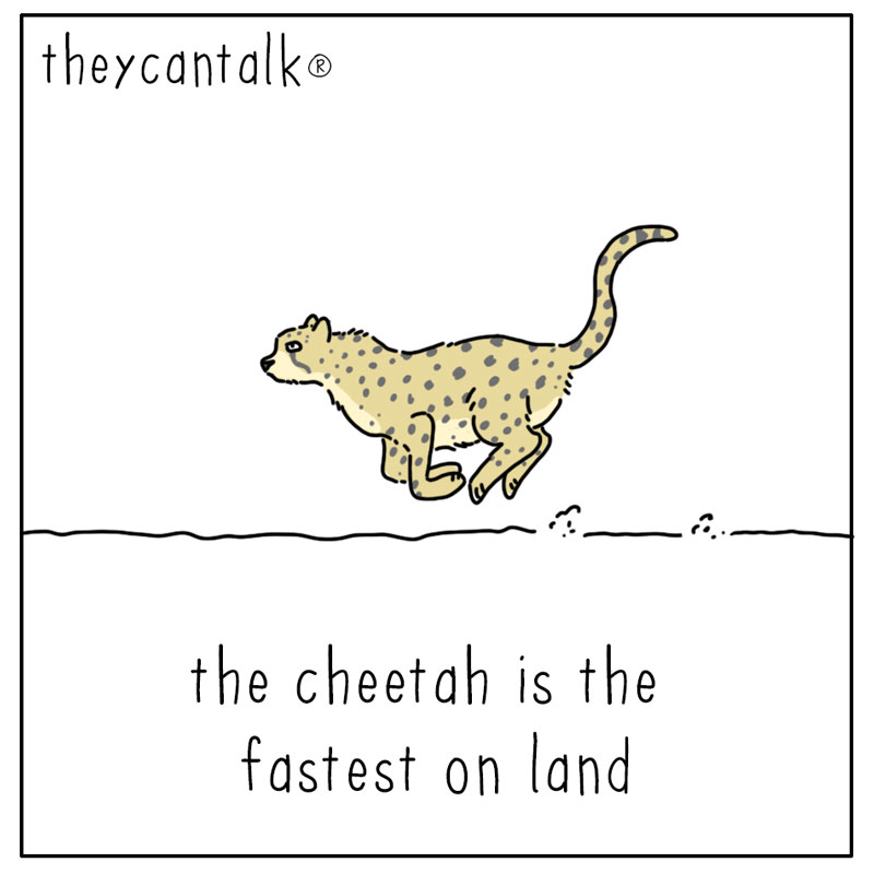 https://cdn.tinyview.com/they-can-talk/2026/07/12/fastest/dog_fastest1.jpg