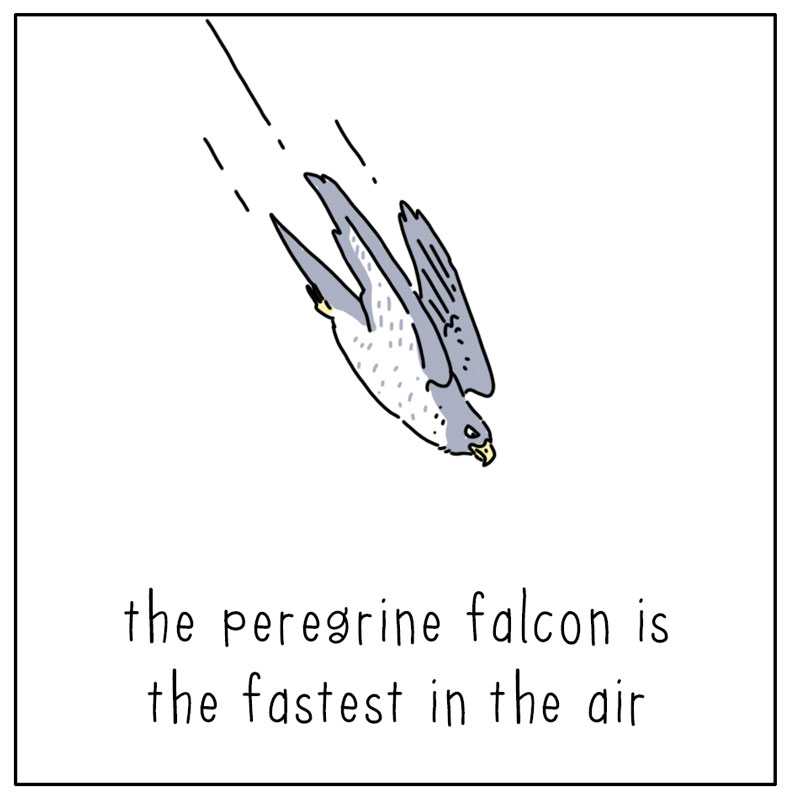 https://cdn.tinyview.com/they-can-talk/2026/07/12/fastest/dog_fastest2.jpg