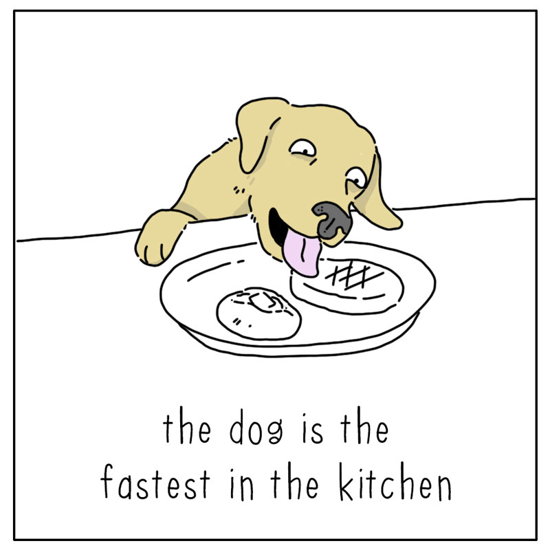 https://cdn.tinyview.com/they-can-talk/2026/07/12/fastest/dog_fastest4.jpg