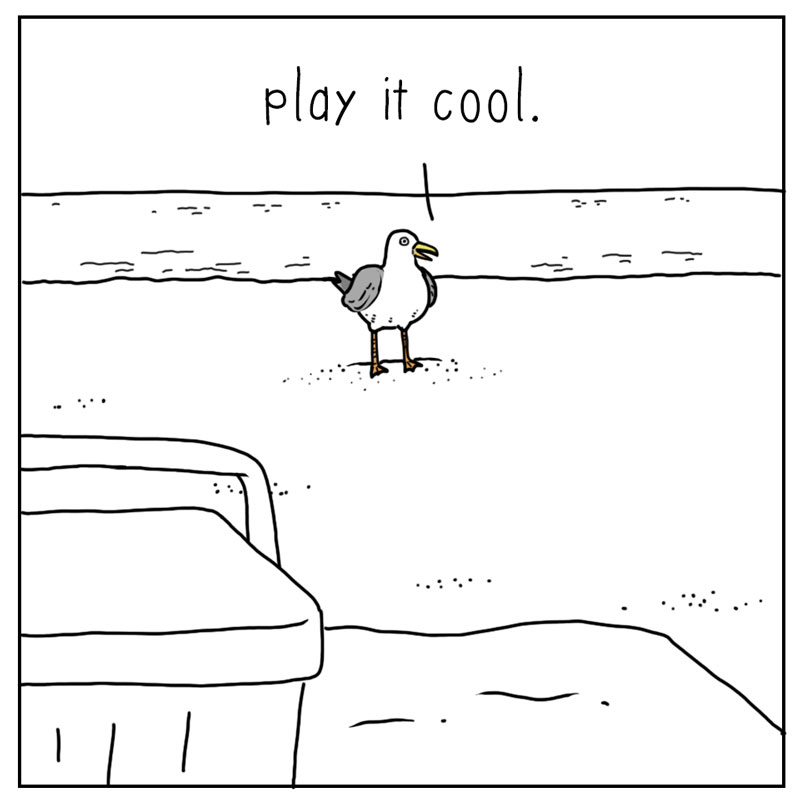 https://cdn.tinyview.com/they-can-talk/2026/07/15/attention/seagull_attention1.jpg