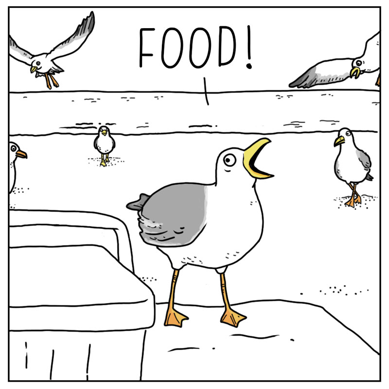 https://cdn.tinyview.com/they-can-talk/2026/07/15/attention/seagull_attention4.jpg